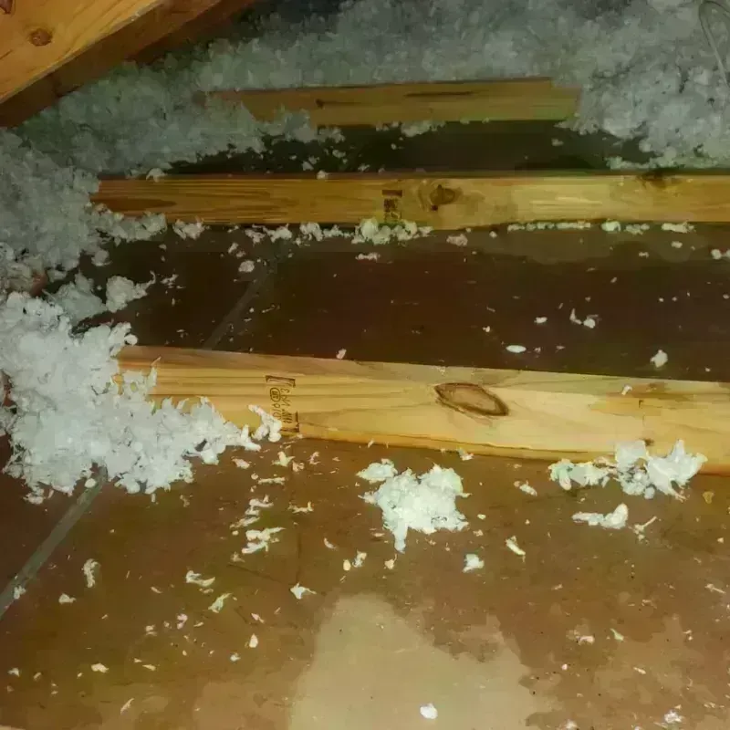 Attic Water Damage in Fajardo, PR